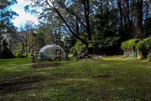 Tomah Retreat - Studio BREATHE with fireplace