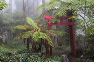 Tomah Retreat - Studio BREATHE with fireplace