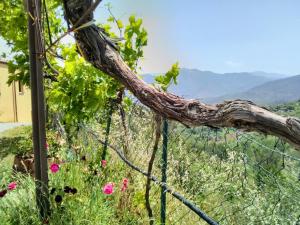 Appartamentino su 2 Livelli