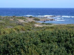 Le Case Punta Negra