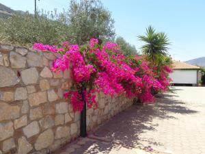 Villa Bamour With Paradise View Argolida Greece