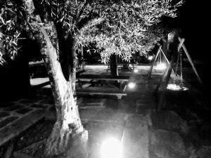 Casa Do Prado Guesthouse