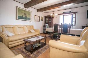 Unique Villa Bošket with Pool and Jacuzzi surrounded by Nature