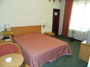 Standard Double Room room in Curtea Brasoveana