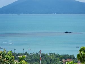 SODA POP Samui pool villa