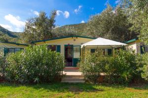 MASLINICA Oliva Camping