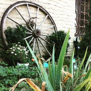 B&B Aux Vieilles Pierres photo 21