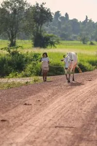Chansor Community Homestay 1 - Phumĭ Svay Thum