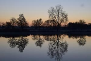 Lodges Shanti Lac Cabanes gites insolites et espace bien-etre Bordeaux : photos des chambres