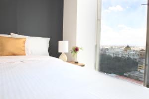 Five bedrooms Penthouse view to Bellas Artes