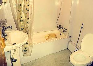 Chicago Group of Houseboats