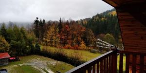 Apartament nr 6