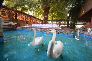 Lydia Hotel Kavala Greece