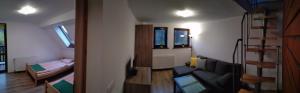 Apartament nr 6
