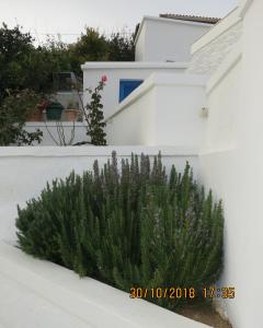 Andoni's House Andros Greece