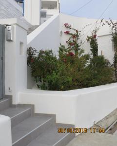 Andoni's House Andros Greece