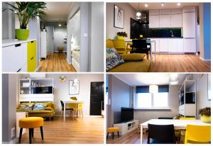 Modern Studio Apartment