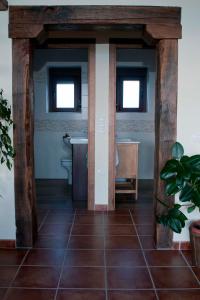 Entre las Piedras y musgo