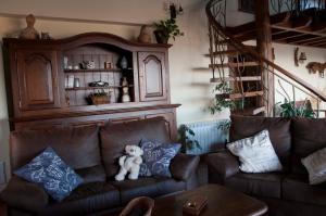 Entre las Piedras y musgo