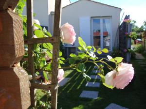 MER à pied Vrai lit LINGE FOURNI Jardin