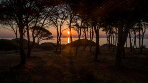 Sa Prata Hotel & Resort img62