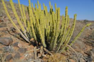 Neuhof Portion 2 Campsite