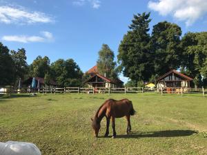 Chata Reiterhof Lillge Schorfheide Německo