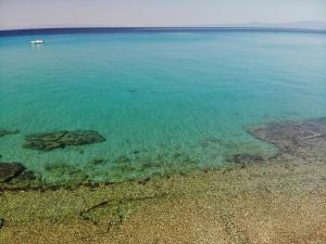 Seafront palm villa Halkidiki Greece