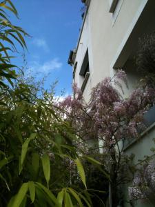 B&B / Chambres d'hotes Beausejour-Porte de Versailles Expo : photos des chambres