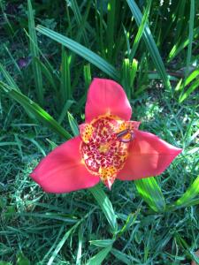 Hospedaje Solentiname