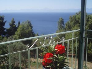 Pelagos Skopelos Greece