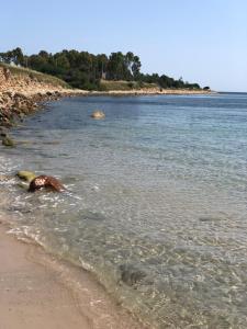 Villa fantastica Villasimius img39