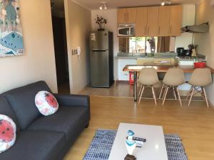 Centrico departamento en Pucon