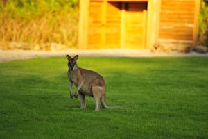 Long Island, Whitsundays QLD 4802, Australia.