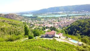 Maisons de vacances les vignes Ardechoises - Peuplier : photos des chambres