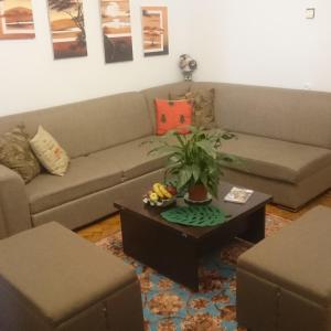 Nizami Fountains 2024