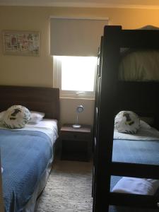 Centrico departamento en Pucon