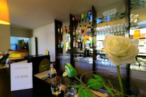 Hotels Hotel Le Renoir : photos des chambres