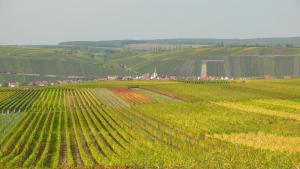 Weingut Herbert Kram