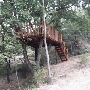 Fattoria Didattica Gli Allori