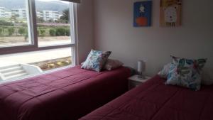 Bosque Playa Lomas de Papudo 3