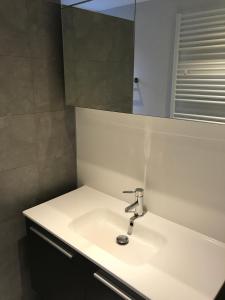 Villa Oscar with sauna in Winterswijk