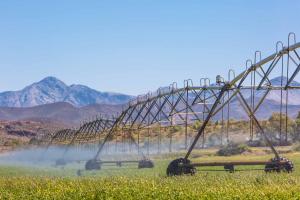 Hazenjacht Karoo Lifestyle - TONNELKOP