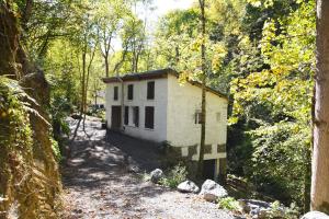 Maisons d'hotes au moulin : photos des chambres