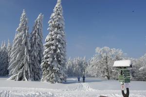 Tanzbuche