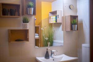 Cute sunny apartment KOD1