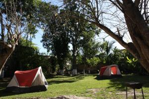 Yaxche Centro Hostal y Camping