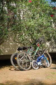 Campings Camping La Plage Argeles : photos des chambres