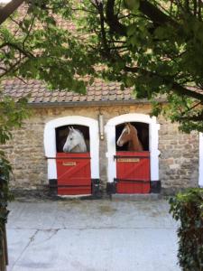 Maisons de vacances Le Tiot Decale - LE MONT DE LA LOUVE : photos des chambres