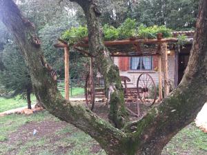 Apartmán villa gusto e benessere nel bosco Sacrofano Itálie